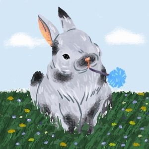 Meet your Posher, Yusmidely